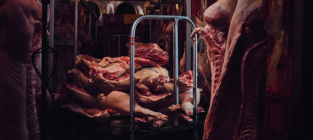 Quem paga a conta da carne SitioVeg