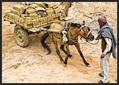 horsestruggling1