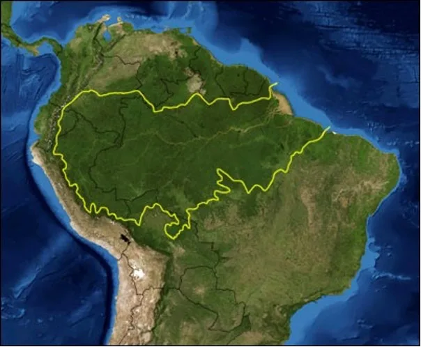 amazonia