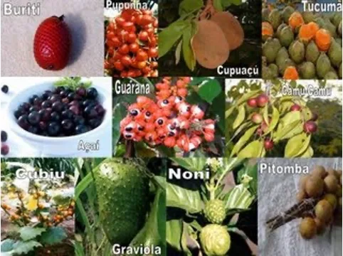 bio