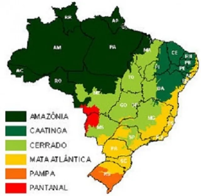 brasil-biomas