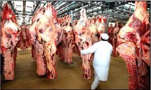 carne