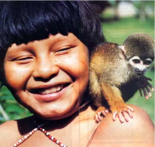 indigena2