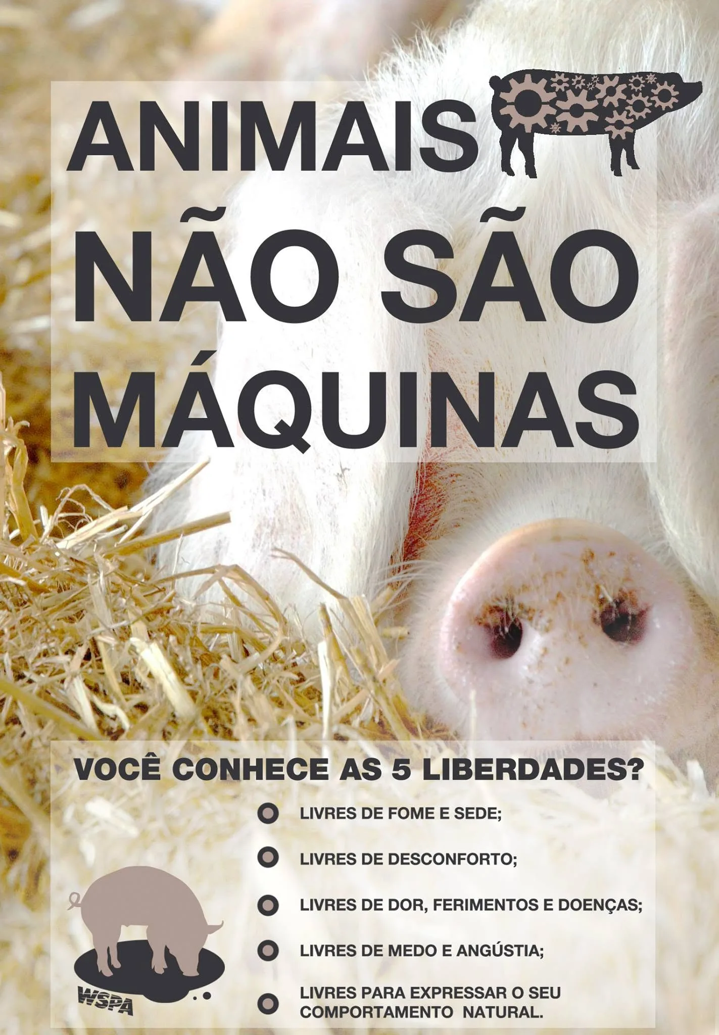 animal-
